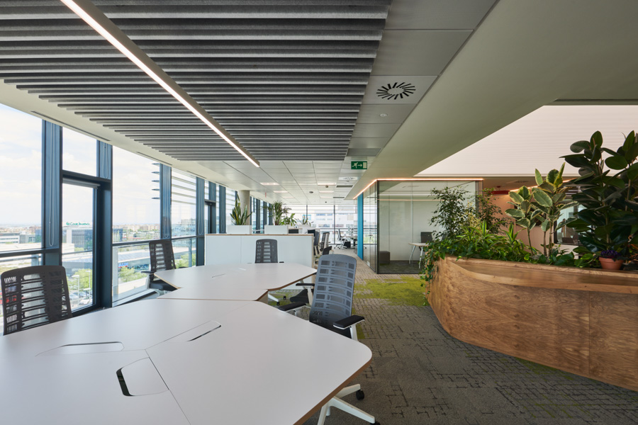 CONSTRUCÍA BAJA_15