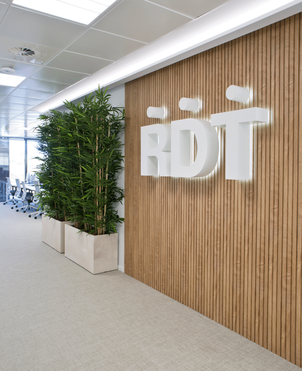 RDT-oficinas-10