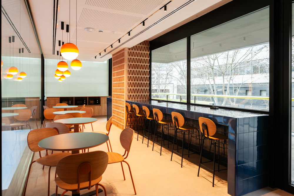 05_CONSTRUCIA TORRE LLACUNA__16-02-2025__-IMG_3261 - copia